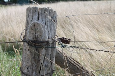 Urlaub Vitt Ferienhaus Außenansicht Reetdach